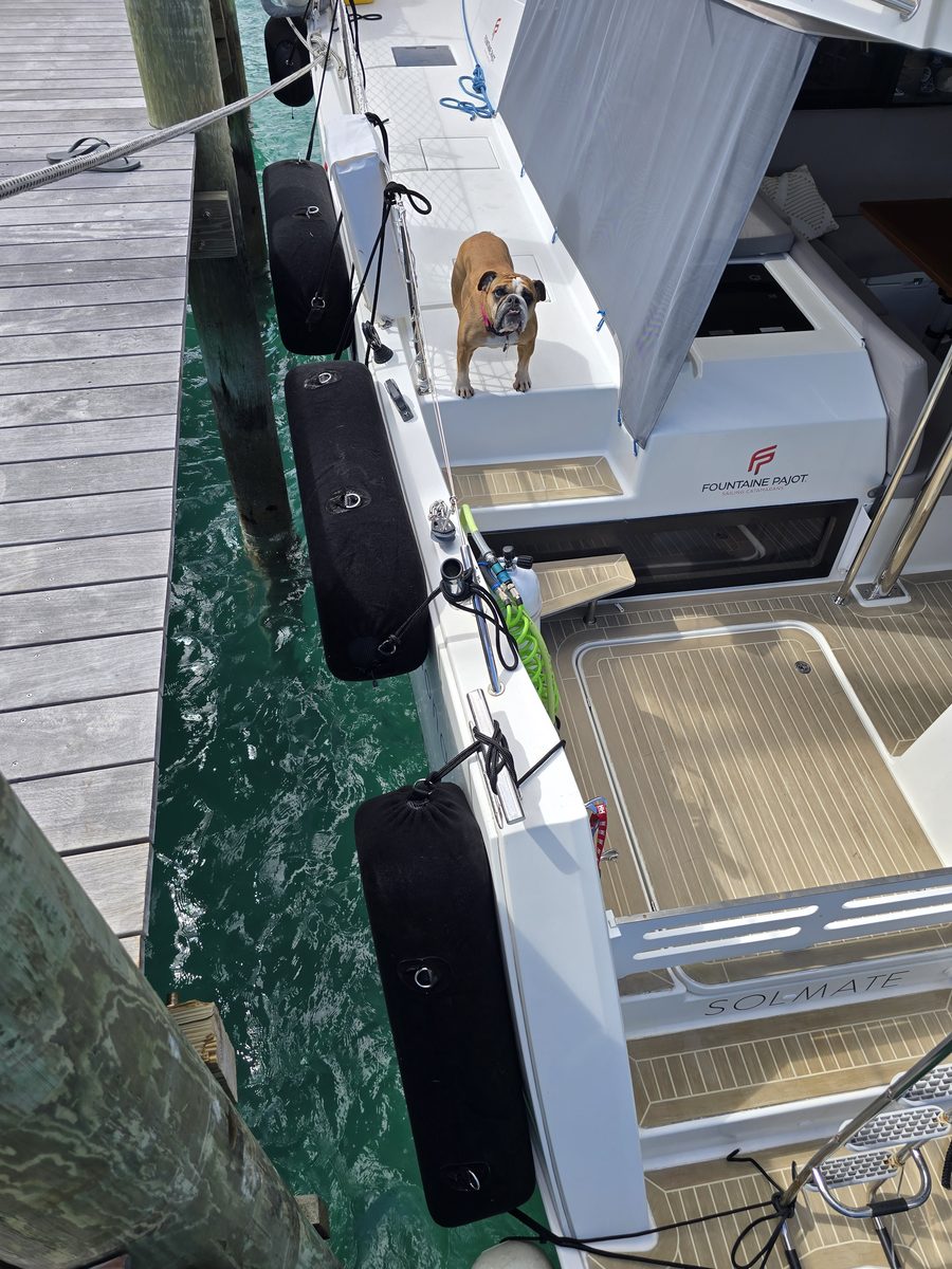 ELITE WALL fenders protecting a sailing catamaran beside a marina dock.